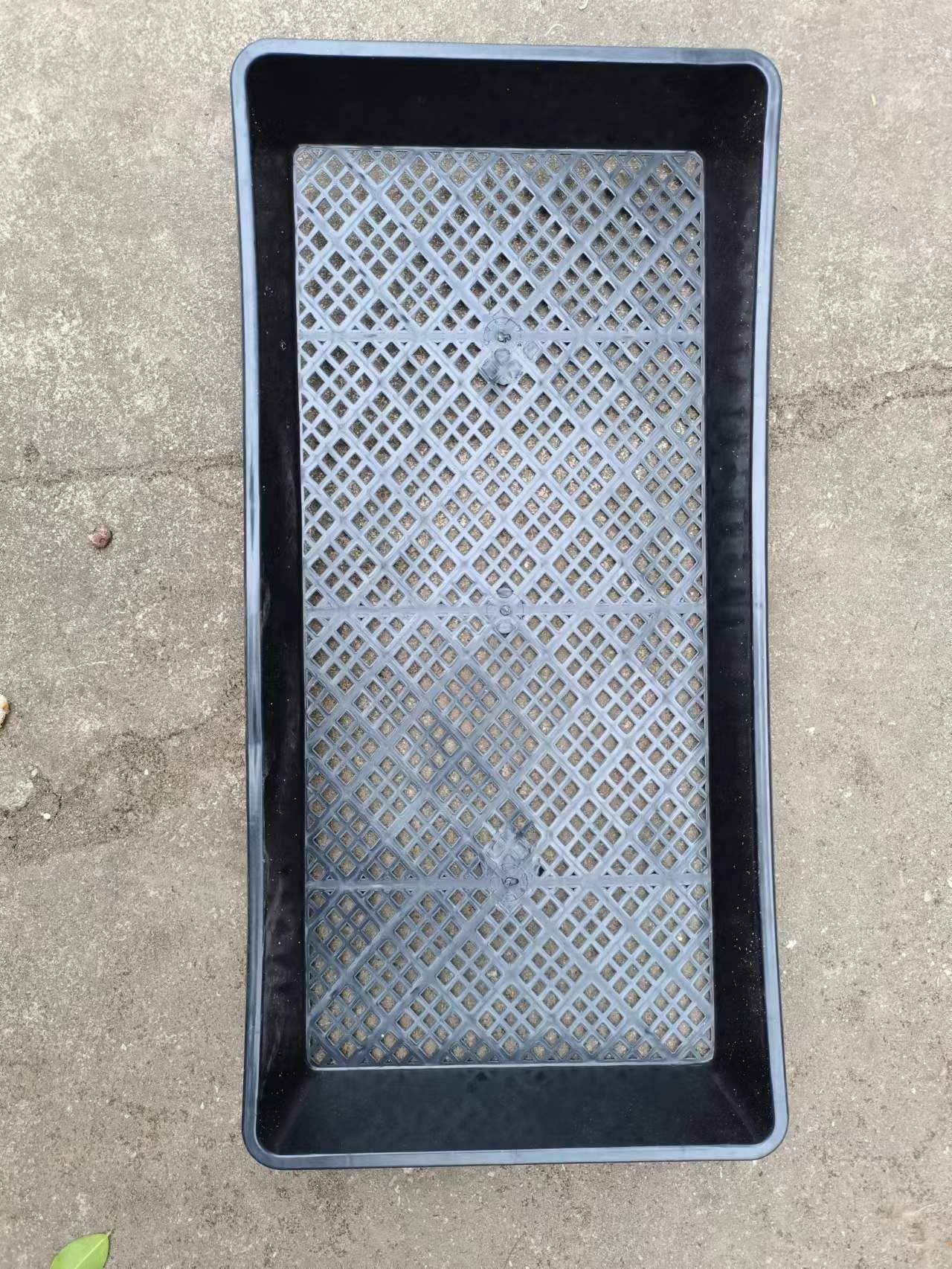 1653721817556063.jpg 1653721817556063.jpg